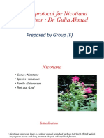 Applay Protocol For Nicotiana Supervisor: Dr. Gulia Ahmed: Prepared by Group (F)
