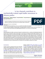 Mechanosensitive ion channels contribute to rapid leaflet movement in Mimosa pudica