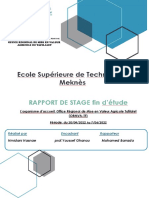 Rapport Sfe