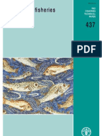 FAO 437 BalıkDestek