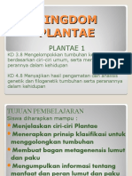 Plantae 1
