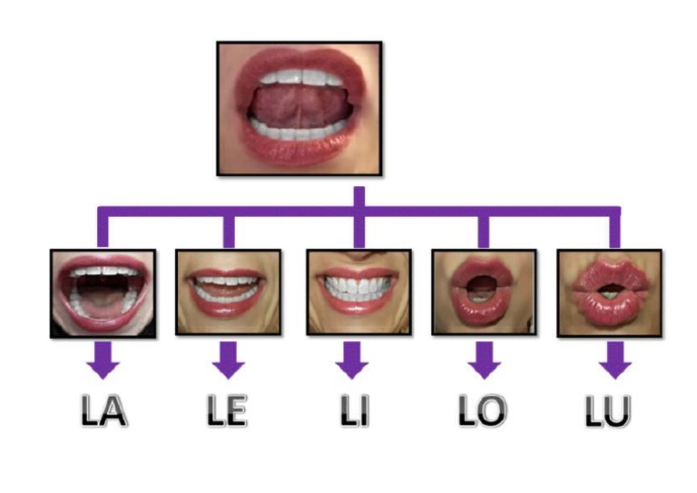 DIFFERENCE BETWEEN LO LA AND LE intelligence overview