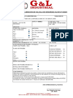 Certificadi de Calibracion G y L - Tag 2607 Nuevo 06