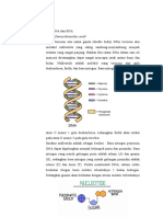 Struktur DNA Dan RNA DKK