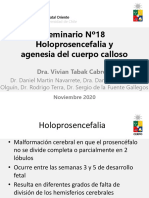 Seminario 18 - Holoprosencefalia y Agenesia Cuerpo Calloso - Archivo