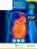 Experto Patologia Abdominal Aguda Web