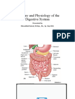 Anatomy and Physiology of The Digestive System