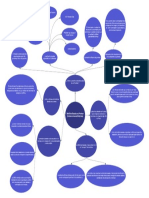 Mapa Conceptual de Araña