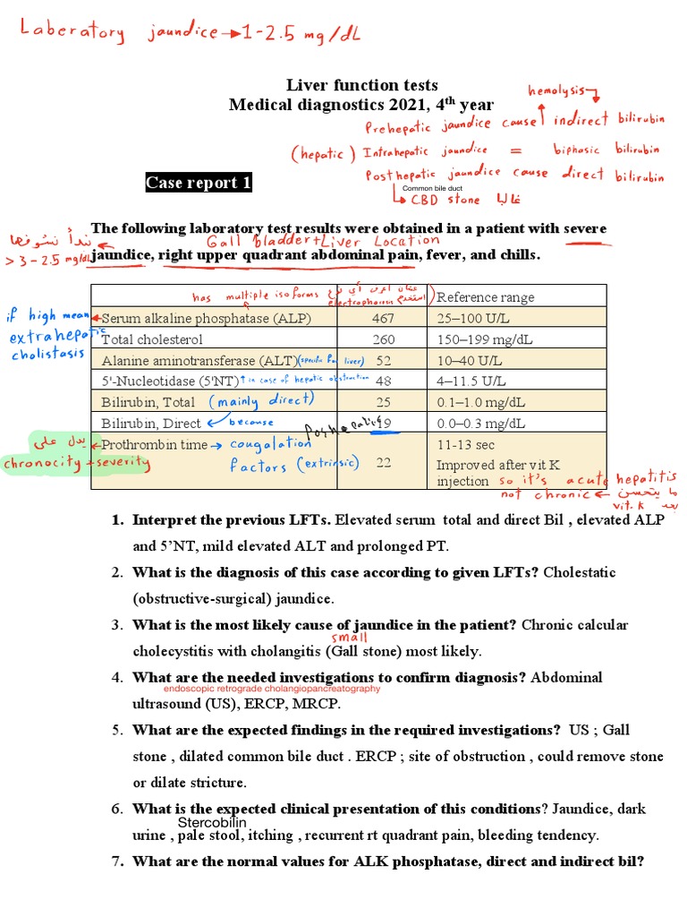 2-LFT Case Report Key Answer | PDF