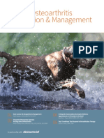 Canine OA Recognition and Management