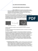 TEMA Biopolimeros