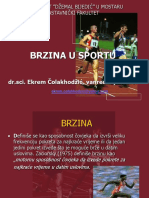 22421-104950 - P5.-Brzina U Sportu
