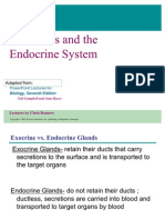 Endocrine System