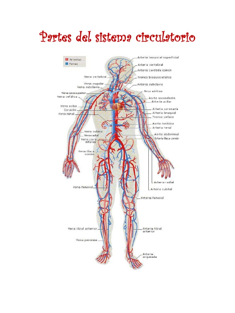 mirta bonucci (@bonuccimirta) • Instagram photos and videos, image size:768x1024