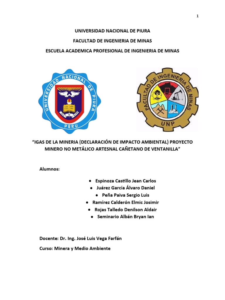 Igas En La Mineria Dia Pdf Minería Entorno Natural