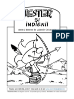 jester-si-indienii