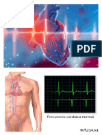 Frecuencia Cardiaca Ed