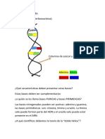 Qué Células Llevan A Cabo Mitosis