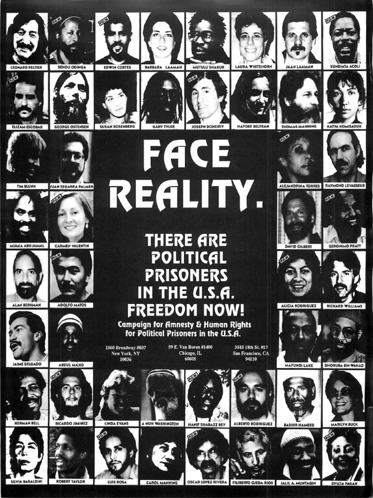 Face Reality - Political Prisoners in US | PDF | Prison | Penal ...