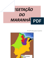 Vegetação Do Maranhão