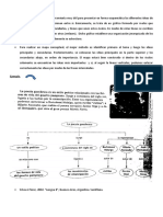 Ficha Mapa Conceptual