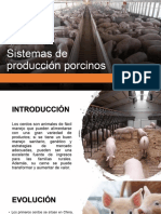 Porcinos_presentacion