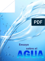 Ensayo Sobre El Agua