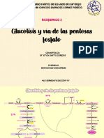 4B Glucolisis y Via de Las Pentosas Fosfato Ruiz Castañeda Monica