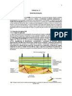 Unidad No. 2.2 Bioestratigrafía (Texto Versión 2.0)