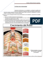 Sesión 8 - El Árbol de La Humanidad y La Escalera - Curso Medit