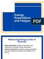 Energy and Fatigue
