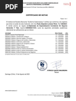 certificado_notas_diplomado