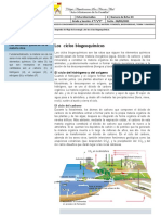 Ficha Trabajo 8 DE MARZO