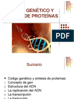 Código Genético. Síntesis de Proteínas