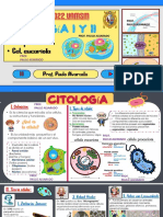 Citologia I y Ii PDF