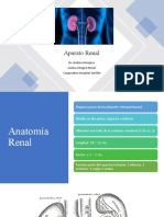 AnatoFisio Renal CIR 