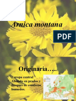Fdocuments - Es Arnica Montana 56dd5af6d5bad