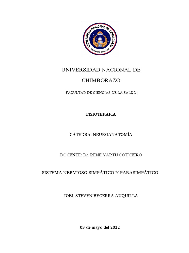 Sistema nervioso simp tico y parasimp tico pdf abdomen sistema