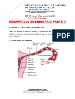 Formación de La Placenta y Desarrollo Fetal