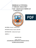 Análisis Sentencia Constitucional Plurinacional 084 2017