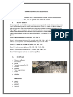 ANALITICA PRACTICA N°9 - SEPARACION ANALITICA DE CATIONESssss