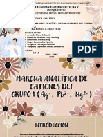 Marcha Analítica de Los Cationes Del Grupo I