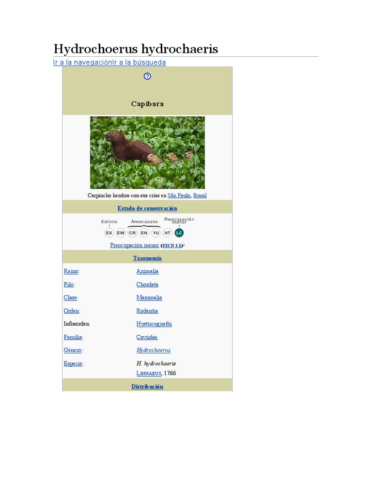 Hydrochoerus Hydrochaeris PDF
