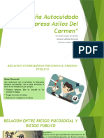 Diapositivas Riesgo Publico Activida Numero 4