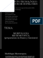 Morfologia Microscopica