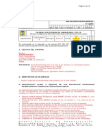 Modelo Informe Pericial Final