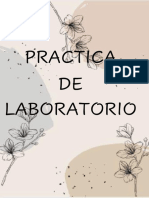 PRACTICA DE FISICA 2 PDF - Edited