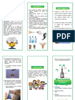 Triptico La Botella Con Pulmones