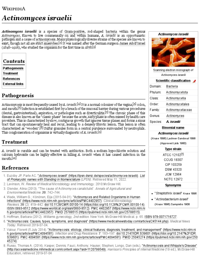 Actinomyces Israelii Wikipedia PDF Prokaryote