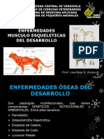 Enfermedades Musculo Esqueleticas Pregrado